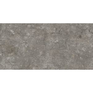 Pietra Sicilia Texture 160x320