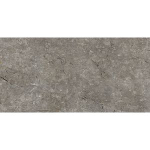 Pietra Sicilia Texture 160x320