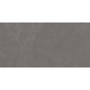 Liem Grey Polished 160x320