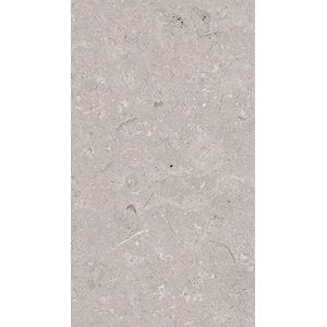 Coral Acero L 25x44,3