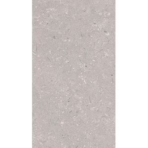 Coral Acero L 25x44,3