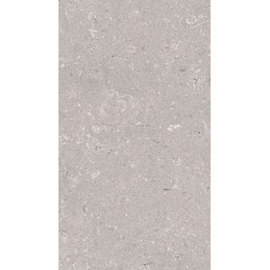 Coral Acero L 25x44,3