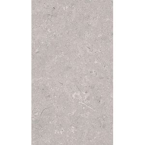 Coral Acero L 25x44,3
