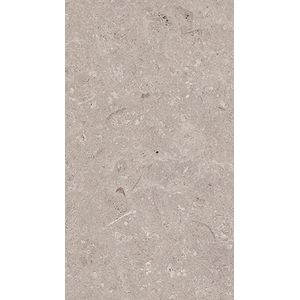 Coral Topo L 25x44,3