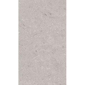 Coral Acero L 33,3x59,2