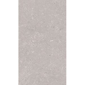 Coral Acero L 33,3x59,2