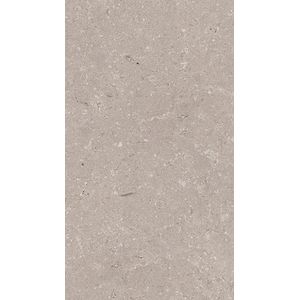 Coral Topo L 33,3x59,2