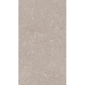 Coral Topo L 33,3x59,2