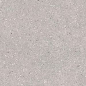 Coral Acero L 44,3x44,3