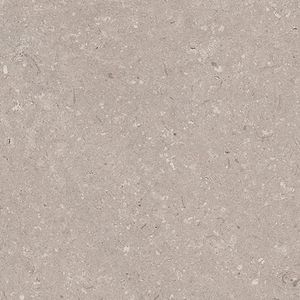 Coral Topo L 44,3x44,3