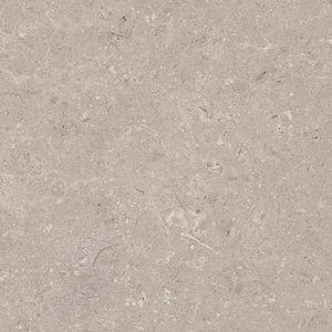 Coral Topo L 44,3x44,3