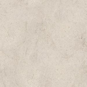Dorcia Bone L C-2 120x120