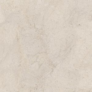 Dorcia Bone L C-2 120x120