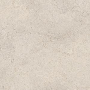 Dorcia Bone L C-2 120x120