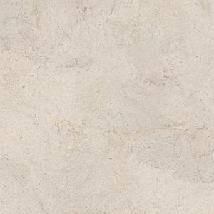 Dorcia Bone L C-2 120x120