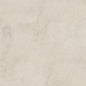 Dorcia Bone Ant. L 120x120