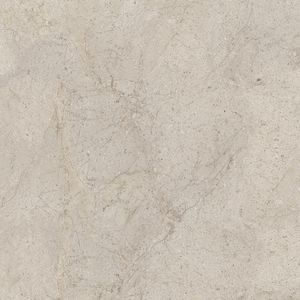 Dorcia Acero Ant. L 120x120