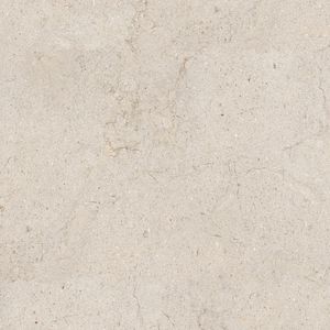 Dorcia Bone L C-2 80x80