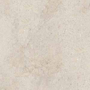 Dorcia Bone L C-2 80x80