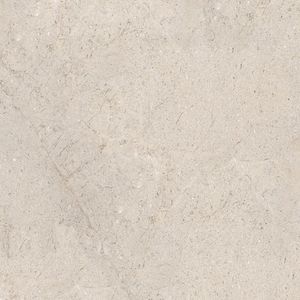 Dorcia Bone L C-2 80x80