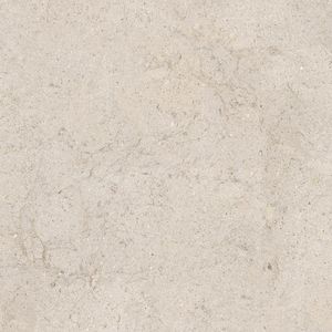 Dorcia Bone L C-2 80x80