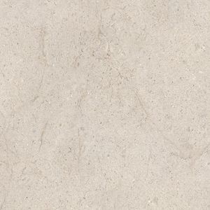 Dorcia Bone L C-2 80x80