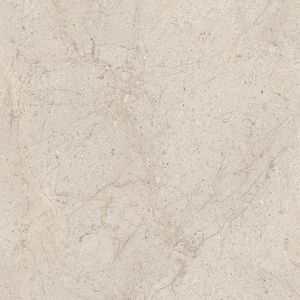 Dorcia Bone L C-2 80x80
