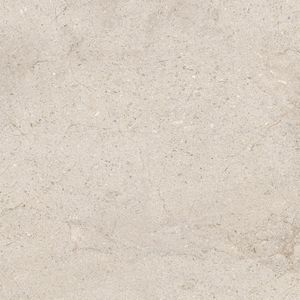 Dorcia Bone L C-2 80x80