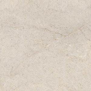 Dorcia Bone L C-2 80x80