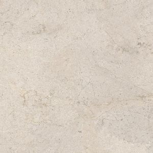 Dorcia Bone L C-2 80x80