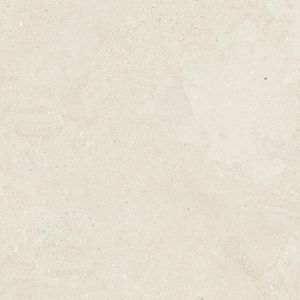 Durango Bone L C-2 80x80