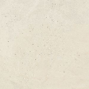 Durango Bone L C-2 80x80