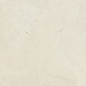 Durango Bone L C-2 80x80