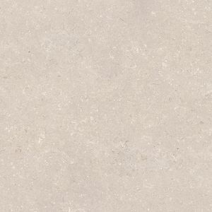 Coral Caliza L C-2 80x80