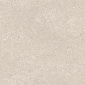 Coral Caliza L C-2 80x80