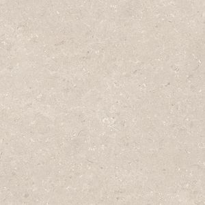 Coral Caliza L C-2 80x80