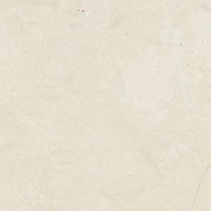 Durango Bone L C-2 120x120