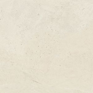 Durango Bone L C-2 120x120