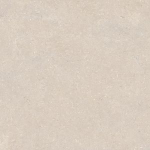 Coral Caliza L C-2 120x120