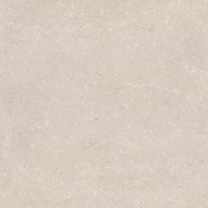 Coral Caliza Ant. (20 mm) 120x120