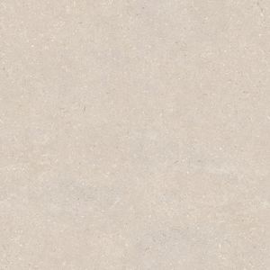 Coral Caliza Ant. (20 mm) 120x120