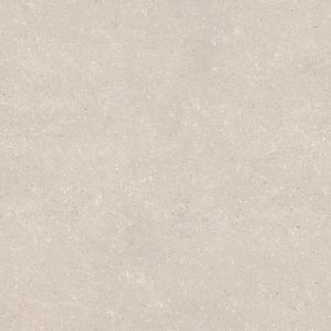 Coral Caliza Ant. (20 mm) 120x120