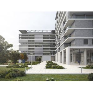 Concrete Grey Nature L9 59,6x59,6