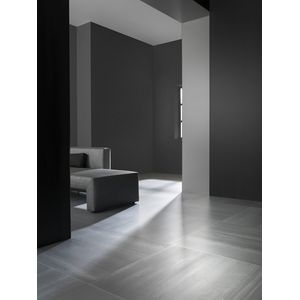 Concrete Grey Nature L9 59,6x59,6