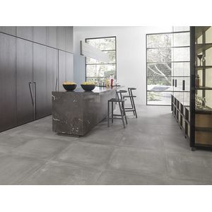 Core Grey Nature L9 59,6x59,6