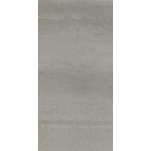 Concrete Grey Nature L9 29,7x59,6