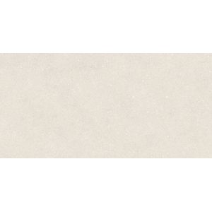 Terra Bone L C-2 59,6x120