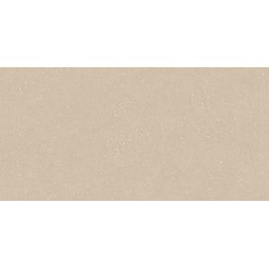 Terra Clay L C-2 59,6x120