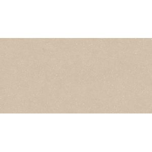 Terra Clay Ant. L 59,6x120