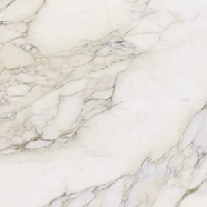 Calacatta Antico Polished 120x120